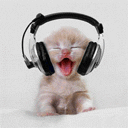 Gato Headphones