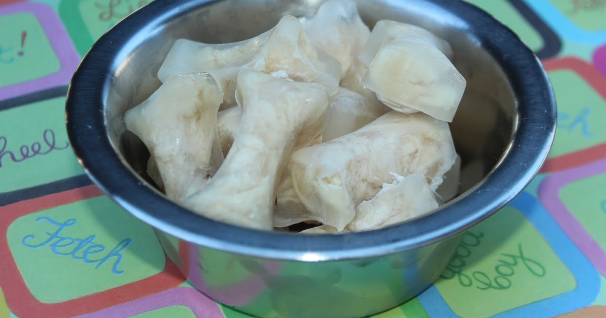 Bolling With 5 Chicken Flavored Ice Cubes For DOGS!