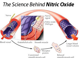 how does nitric oxide benefit the body