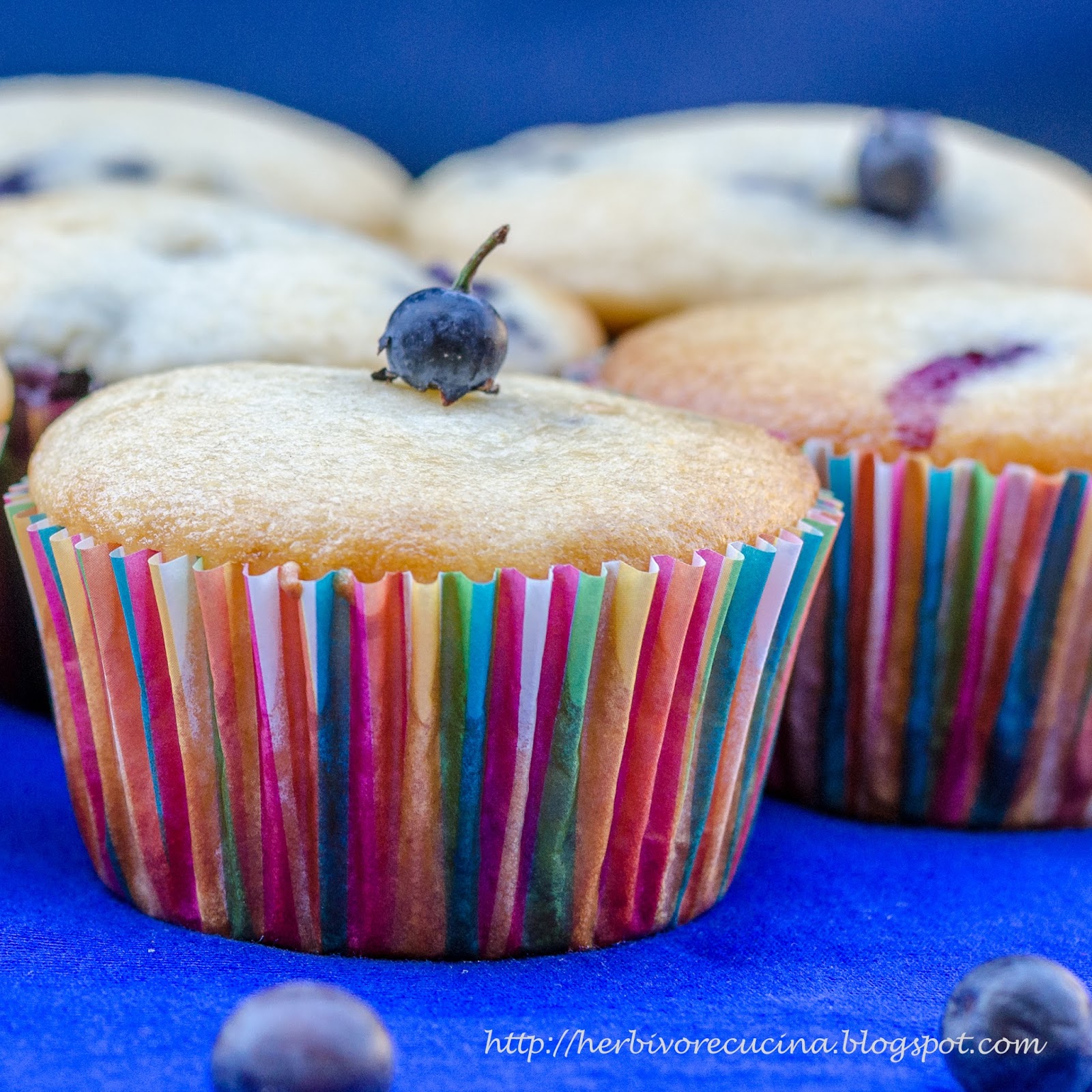 Herbivore Cucina Eggless Blueberry Yogurt Muffins