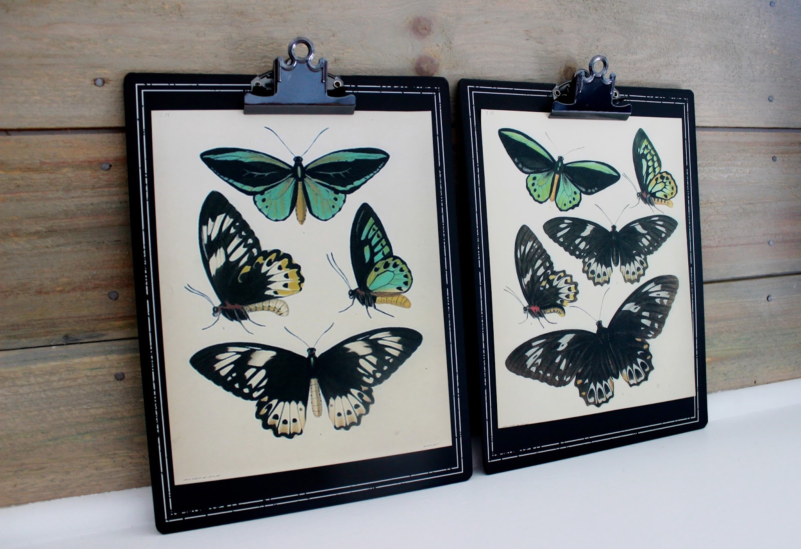 Where to Find Free & Inexpensive Vintage Images for Low Cost Wall Art