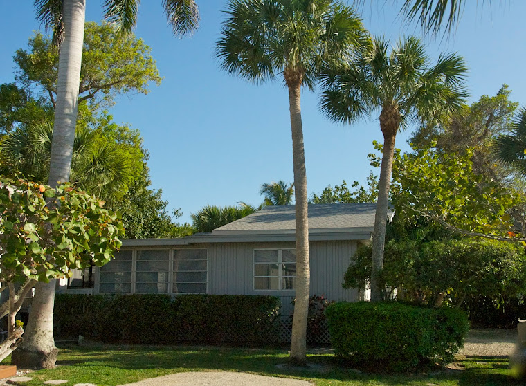 Cottage - side view