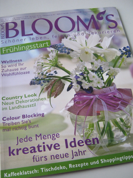 Orchideen Im Herbst Mayodans Blog