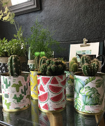 les cactus