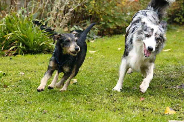 Das wahre Leben So´n büschen bekloppt ist ja ok. good news bad news