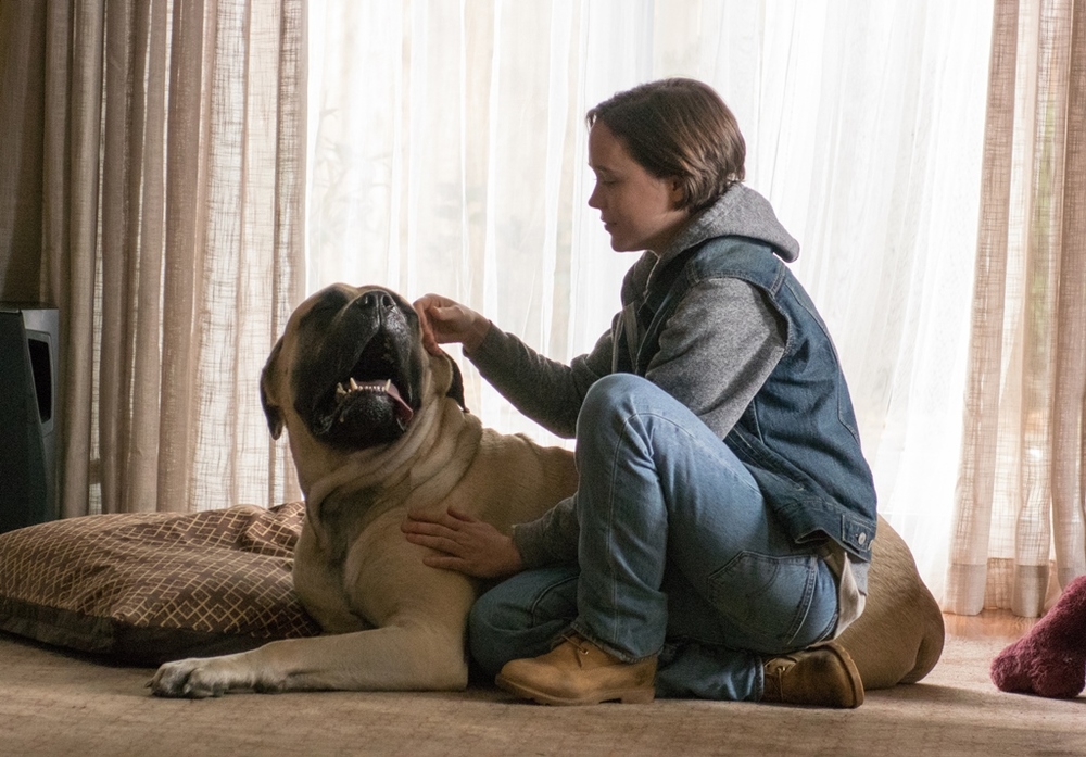 Freeheld (2015) Movie Dvd Quality Freeheld (2015) Movie Dvd Quality