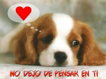 Imagenes de amor para whatsapp (Imagenes) Imagenes de amor para whatsapp (imagenes para facebook imagenes de frases )