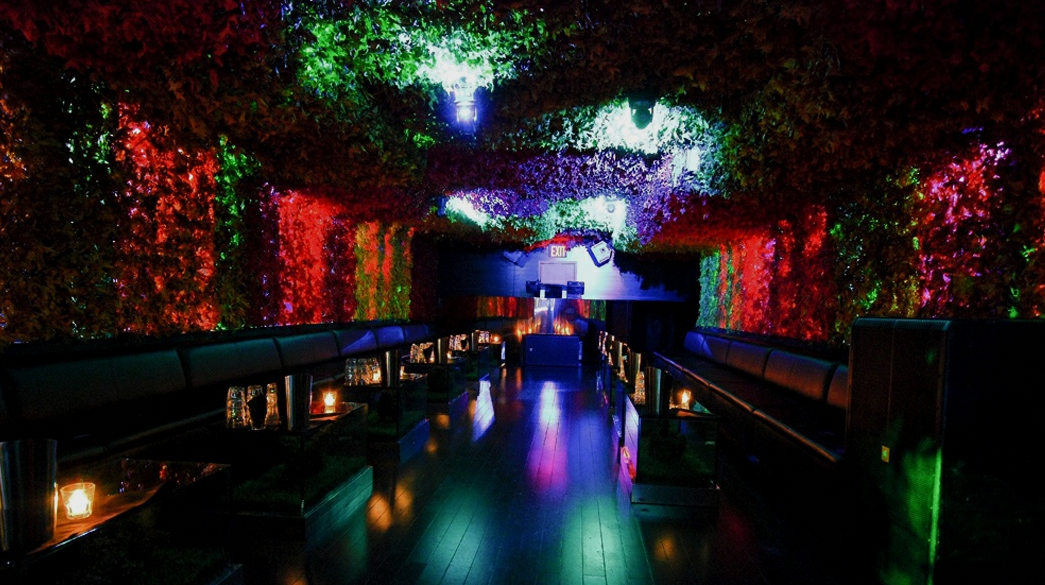 Greenhouse New York Club. Night Clubs