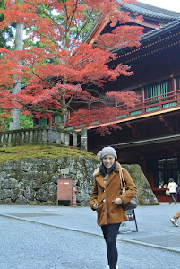 Nikko Japan Nov 12