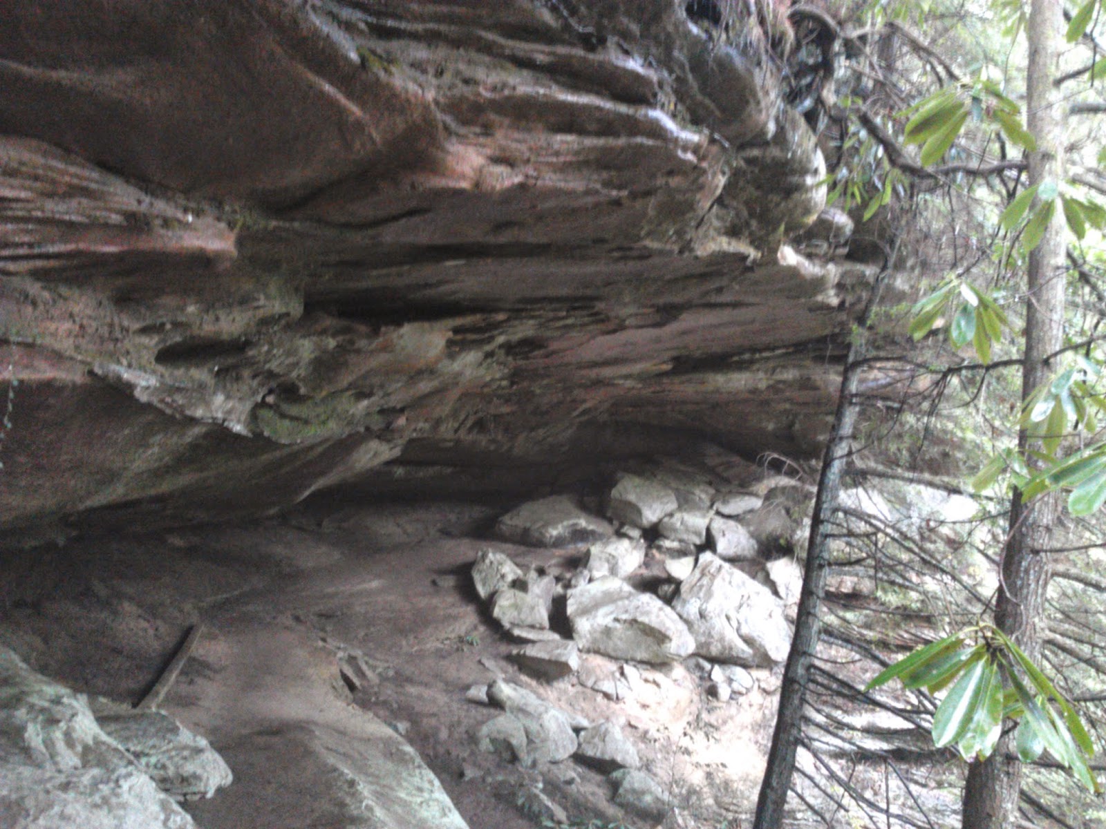 Hikes Hidden Passage Loop Pickett State Park