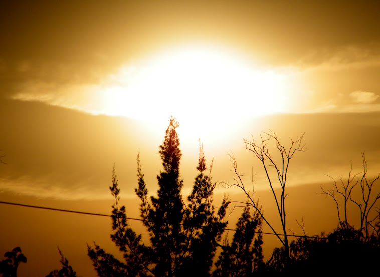 DORADO ATARDECER