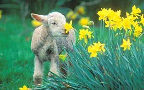 Blue Star Antiques: Oh Happy Day!