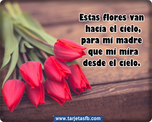 con frases para una madre fallecida para etiquetar en tu muro para con frases para una madre fallecida para etiquetar en tu muro para