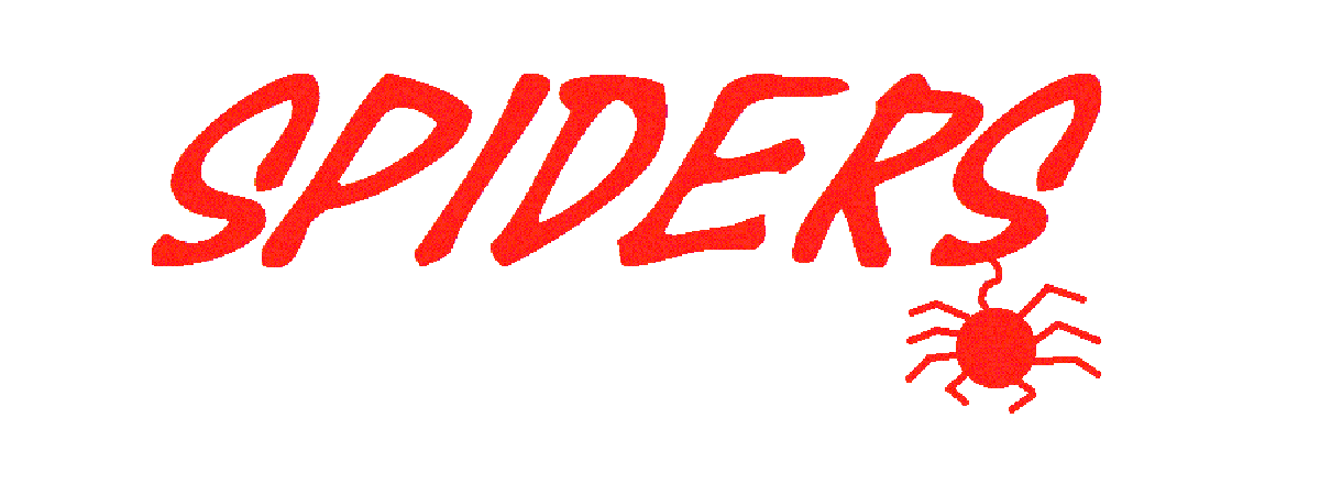 Spiders Group