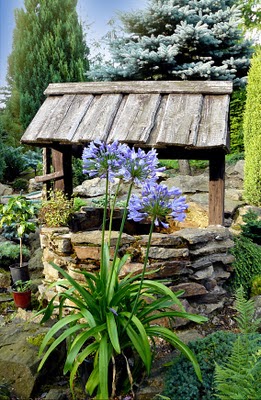 Invernablog: ¿Cómo montamos un sistema de riego en el jardín?