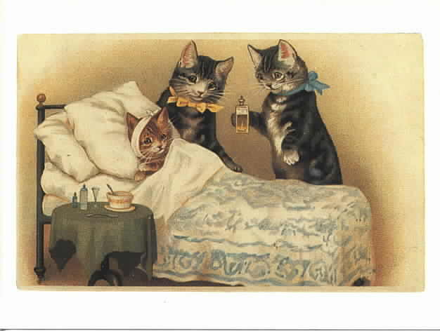 Cat Postcard