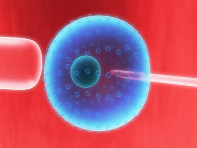 Artificial insemination cost philippines