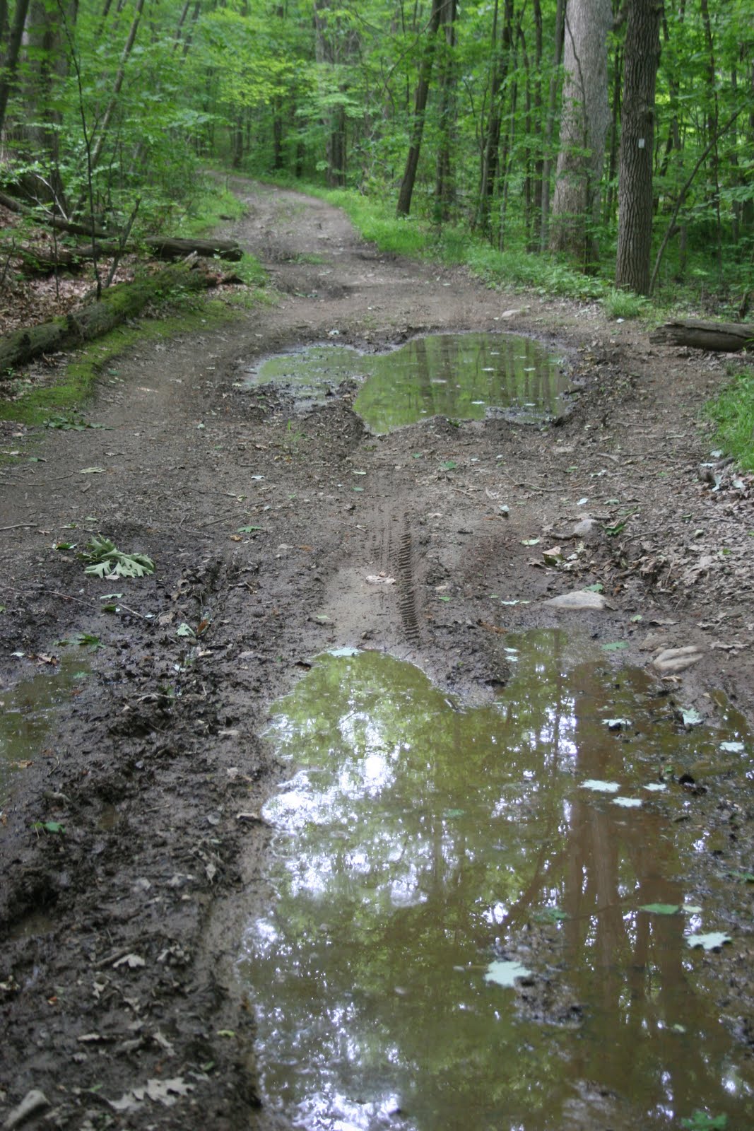 Biodiversity in Northeast NJ Ramapo Mountains National Biodiversity