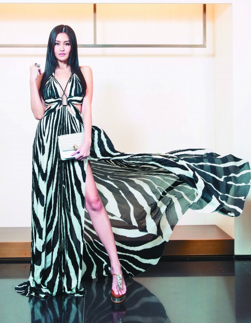 2014/12/18:Ruru Lin 林葦茹出席Roberto Cavalli台灣發表會 Roberto Cavalli Spring 2015 Zebra Printed Silk Dress Editorials