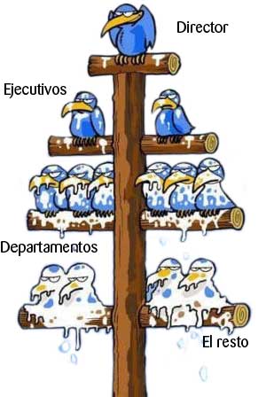 humor grafico pajaros