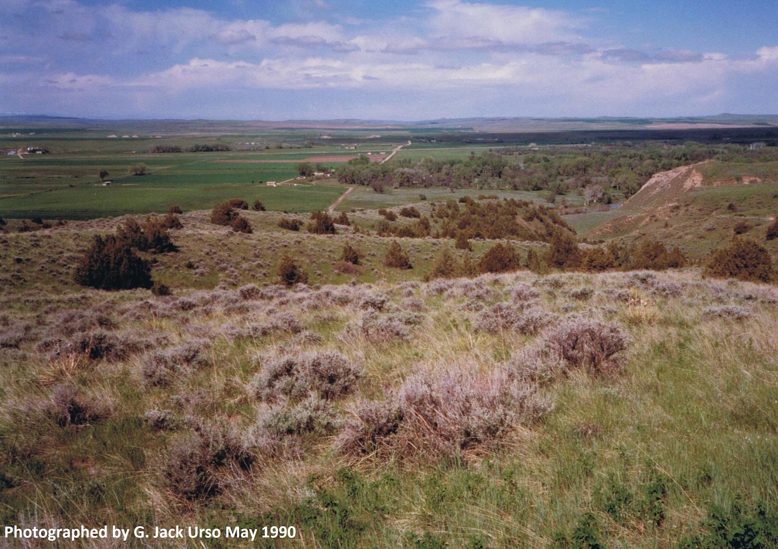 Essay on little bighorn