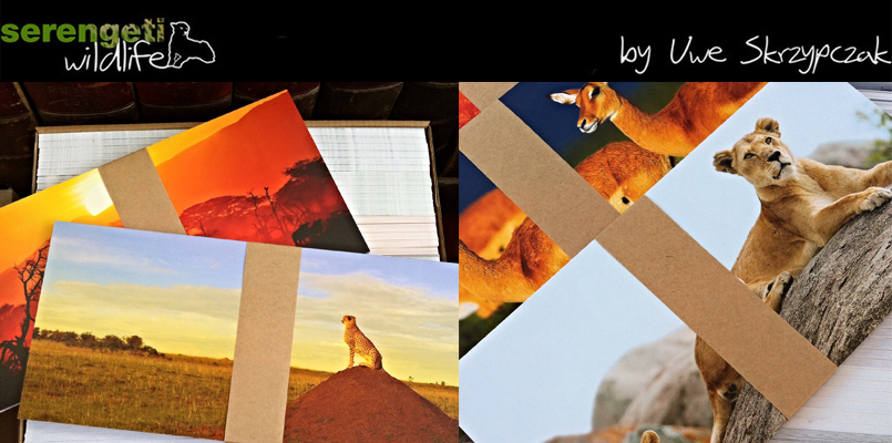 Postkarten, Tierpostkarten, Afrika, Kenia, Serengeti, Uwe Skrzypczak 