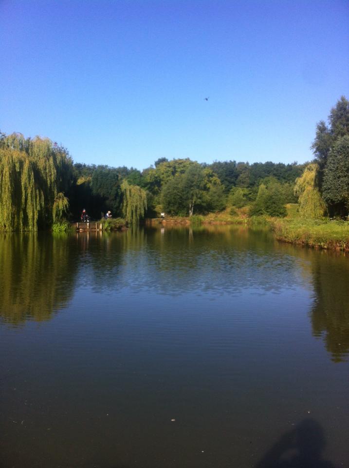 UK fishing venues Pool Bridge Farm (Horseshoe Lake) Venue Review