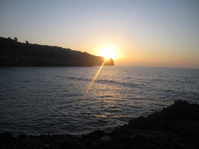 playa mallorca