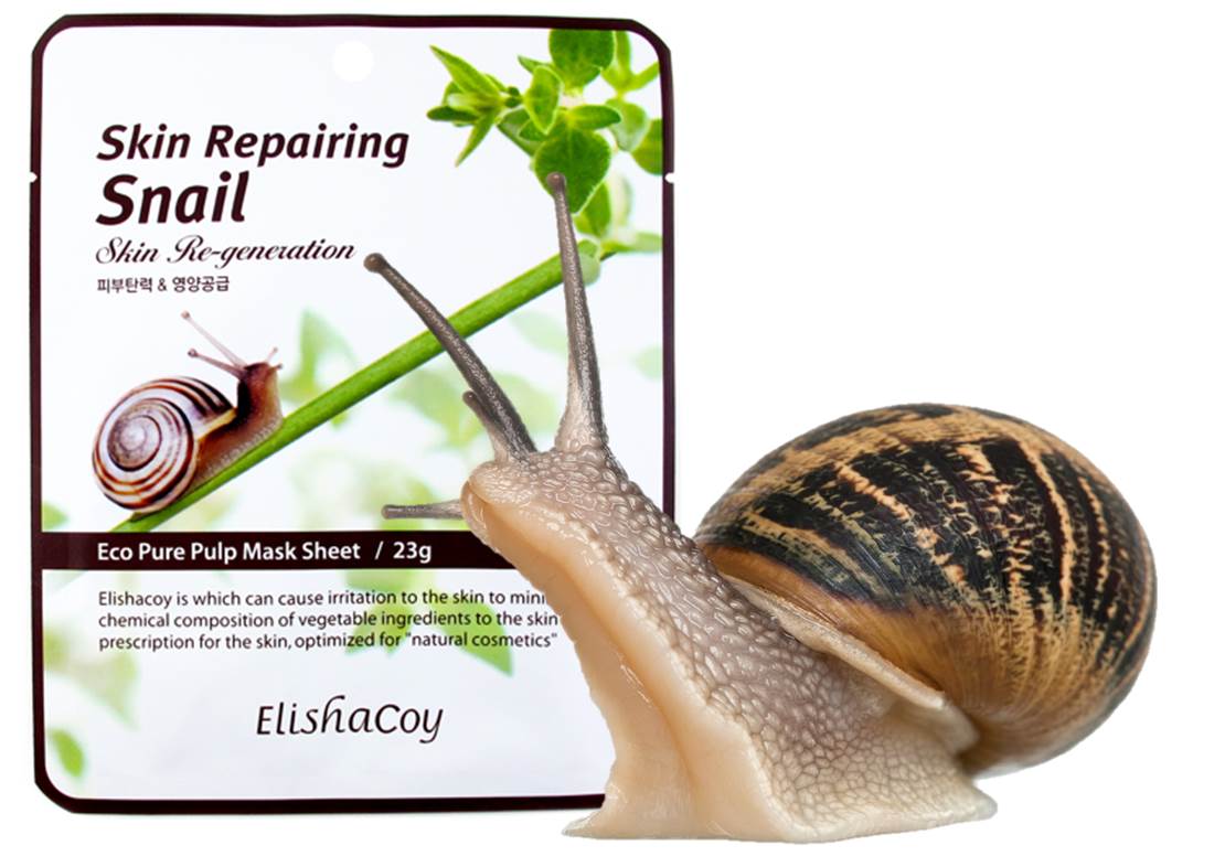 Asian Beauty Ingredients Discovered Snail Slime Lashes in the Lush