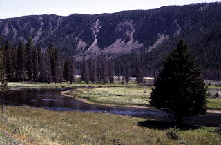 The Madison River