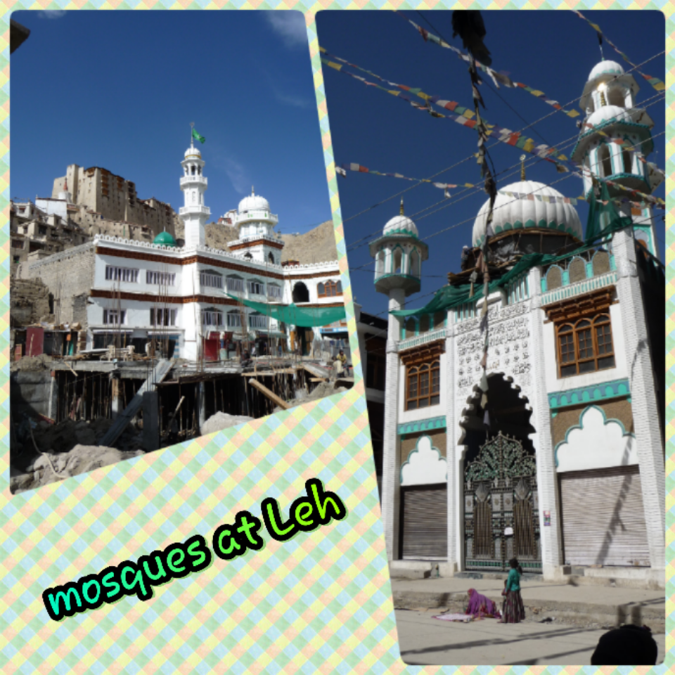 My journal India Trip July'15 Leh (1)