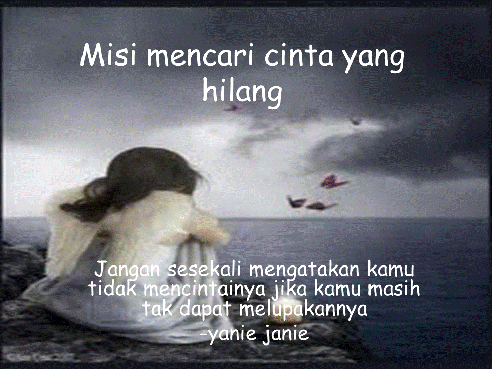 Yanie Janie: misi mencari cinta yang hilang