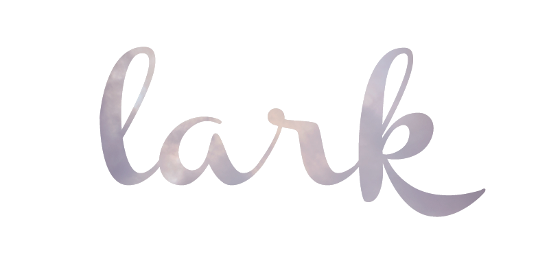 <center>Lark&Sky</center>