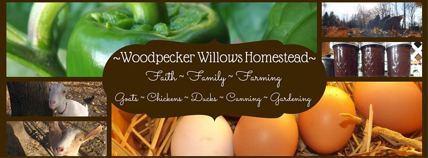 Woodpecker Willows Homestead