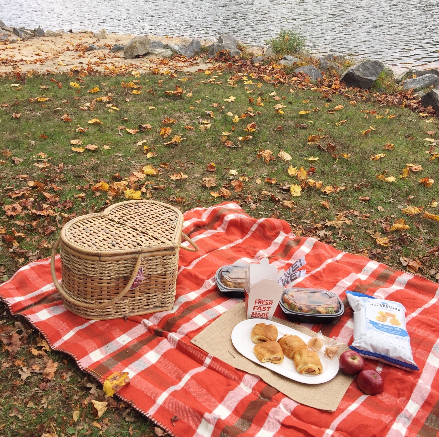 cute things to do on a picnic