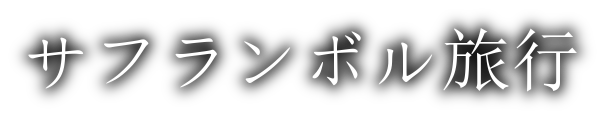 サフランボル旅行