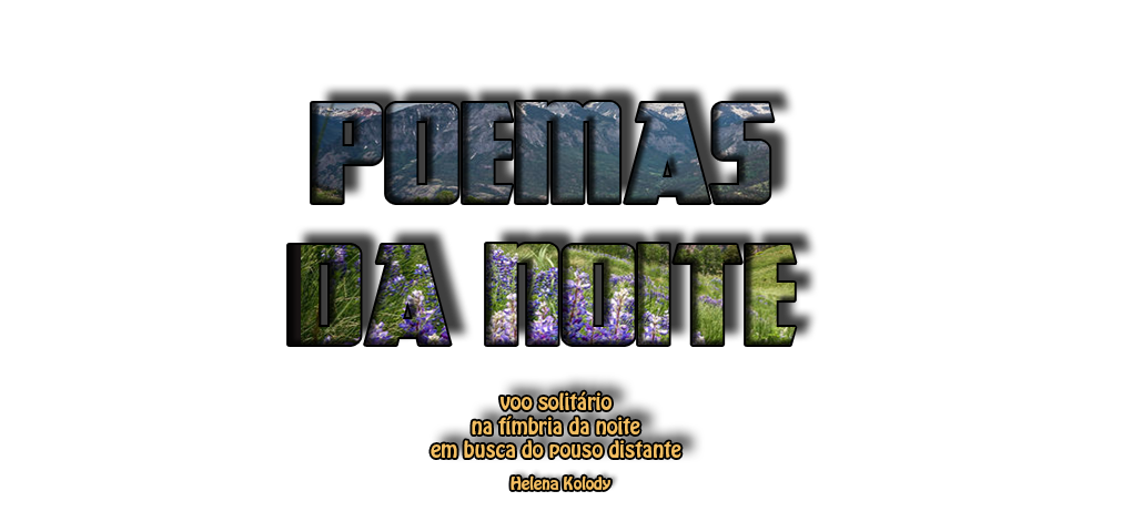 Poemas da Noite