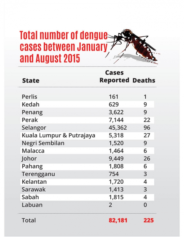 Alarming rise in dengue cases Nationwide My Pest News