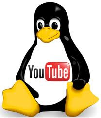 How to download you tube videos on linux