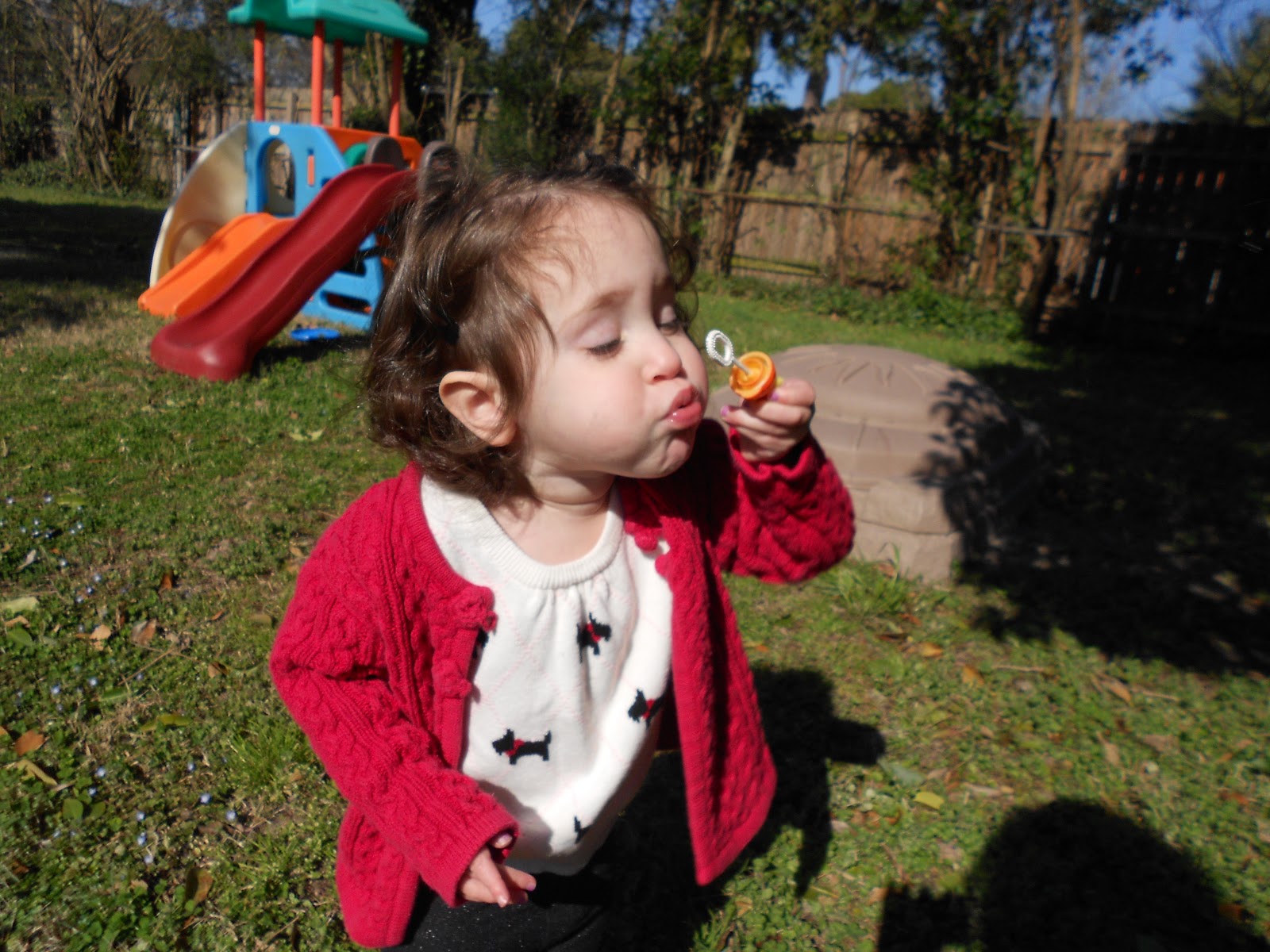 The Art of Home: Little School on the Plantation