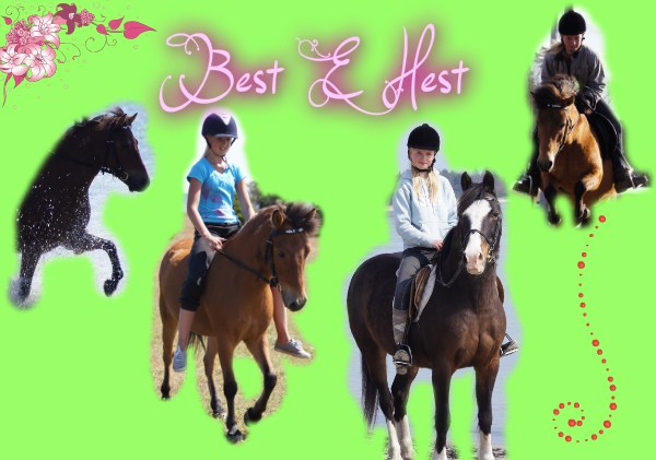 Best e Hest