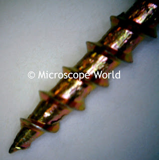 Screw viewed under a stereo microscope.