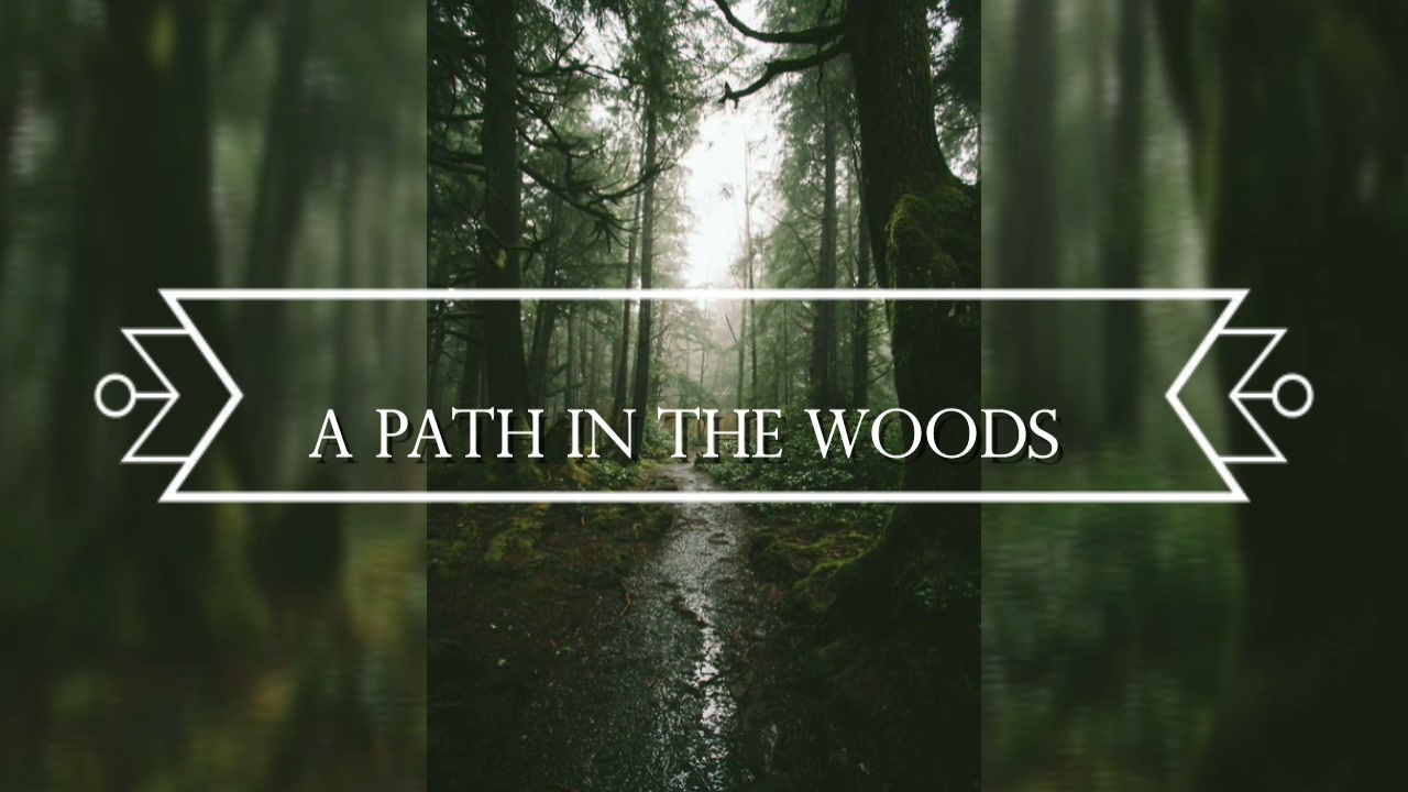 Un camino en el bosque
