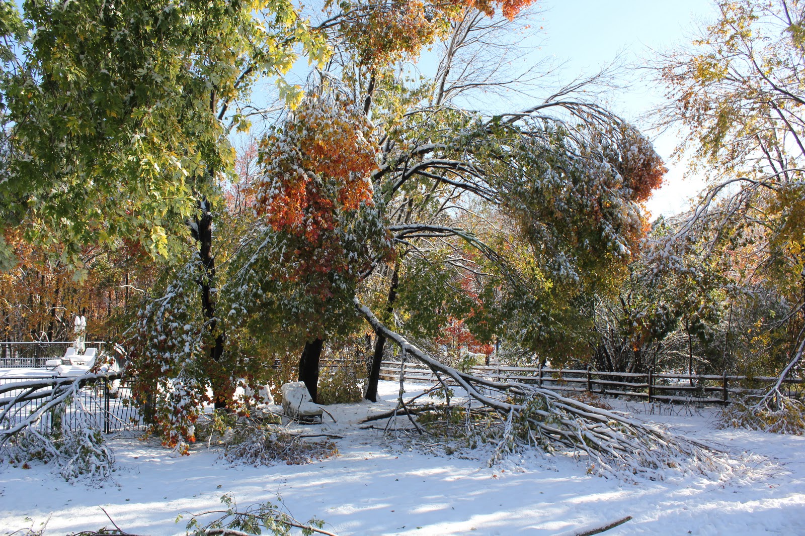 Snow. Fall.