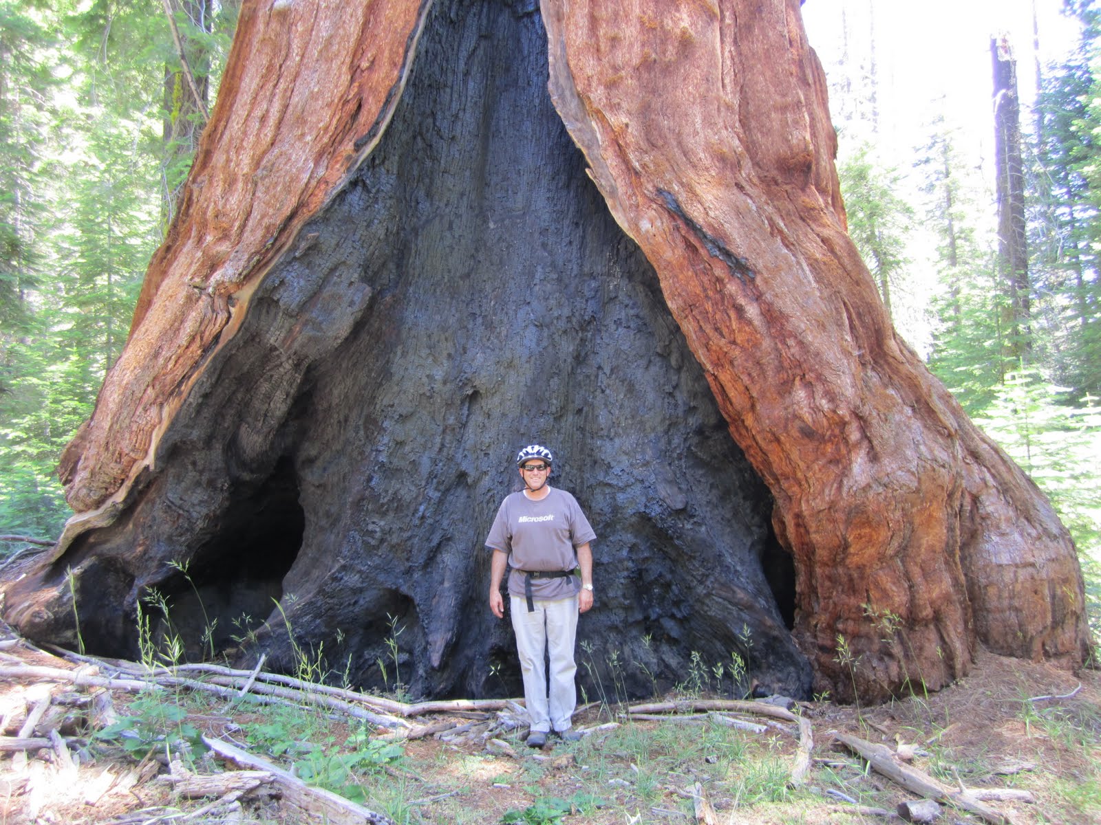 Greg & Edwina Sequoia Redwoods CA, Scouts High Adventure Camp July 2011
