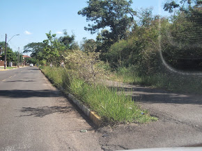 JAIR WINGERT SOLICITA LIMPEZA NOS BAIRROS