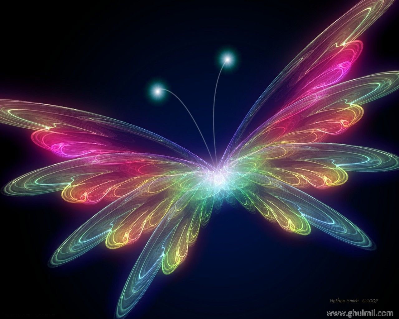 Free 3d Wallpapers Download Butterfly Wallpaper Butterfly