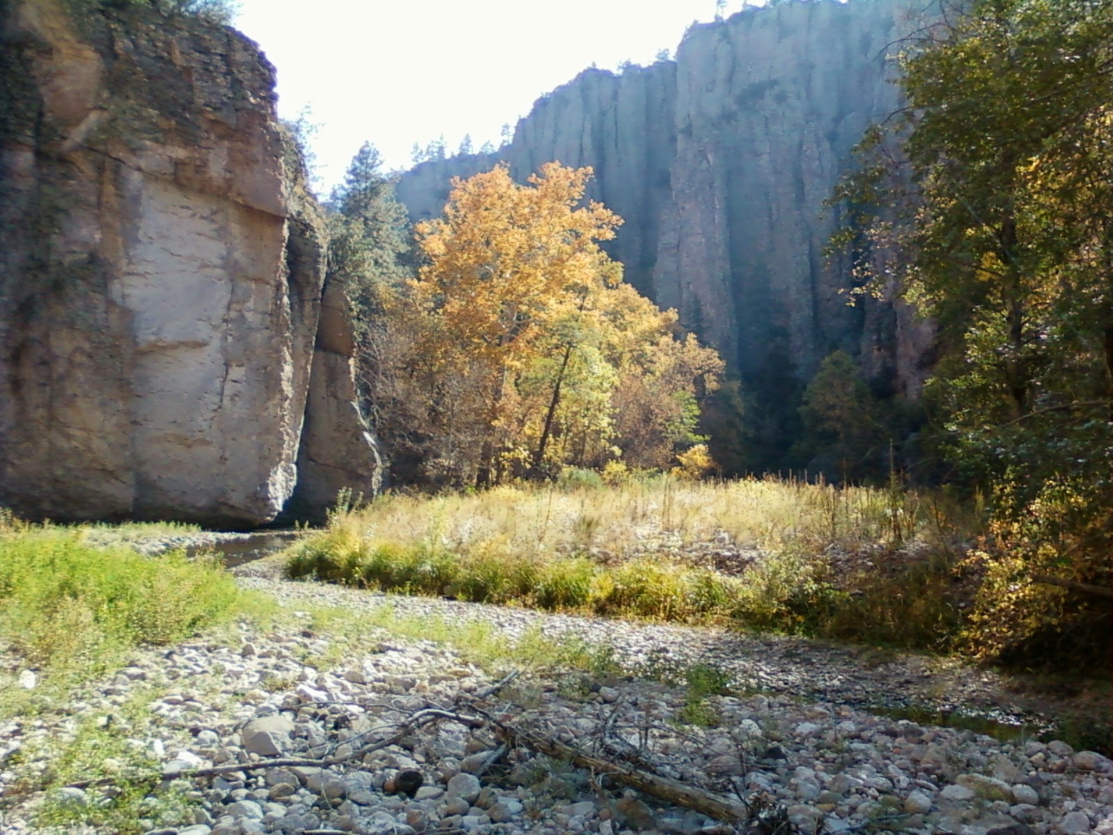 Southern New Mexico Explorer West Fork Gila River Gila Wilderness