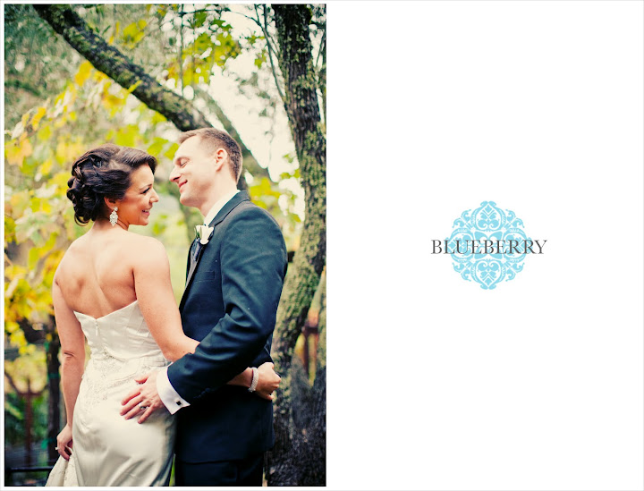 Napa auberge du soleil beautiful outdoor classic old hollywood amazing wedding photography