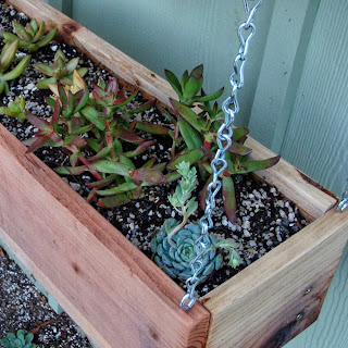 succulent planter